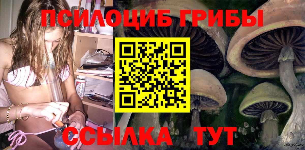 Губкинский  Галлюциногенные грибы мухоморы  Вход с VPN 