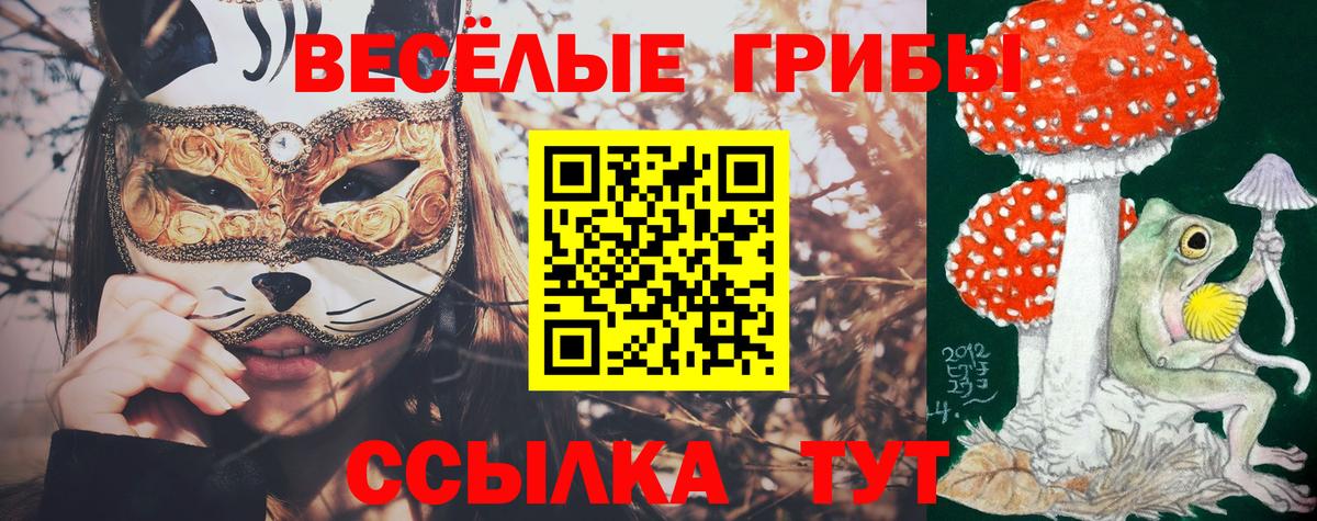Псилоцибиновые грибы ЛСД Губкинский
