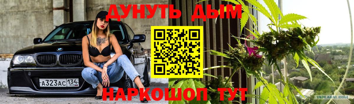 Губкинский  Марихуана гибрид  Вход с VPN  Марихуана SATIVA & INDICA 